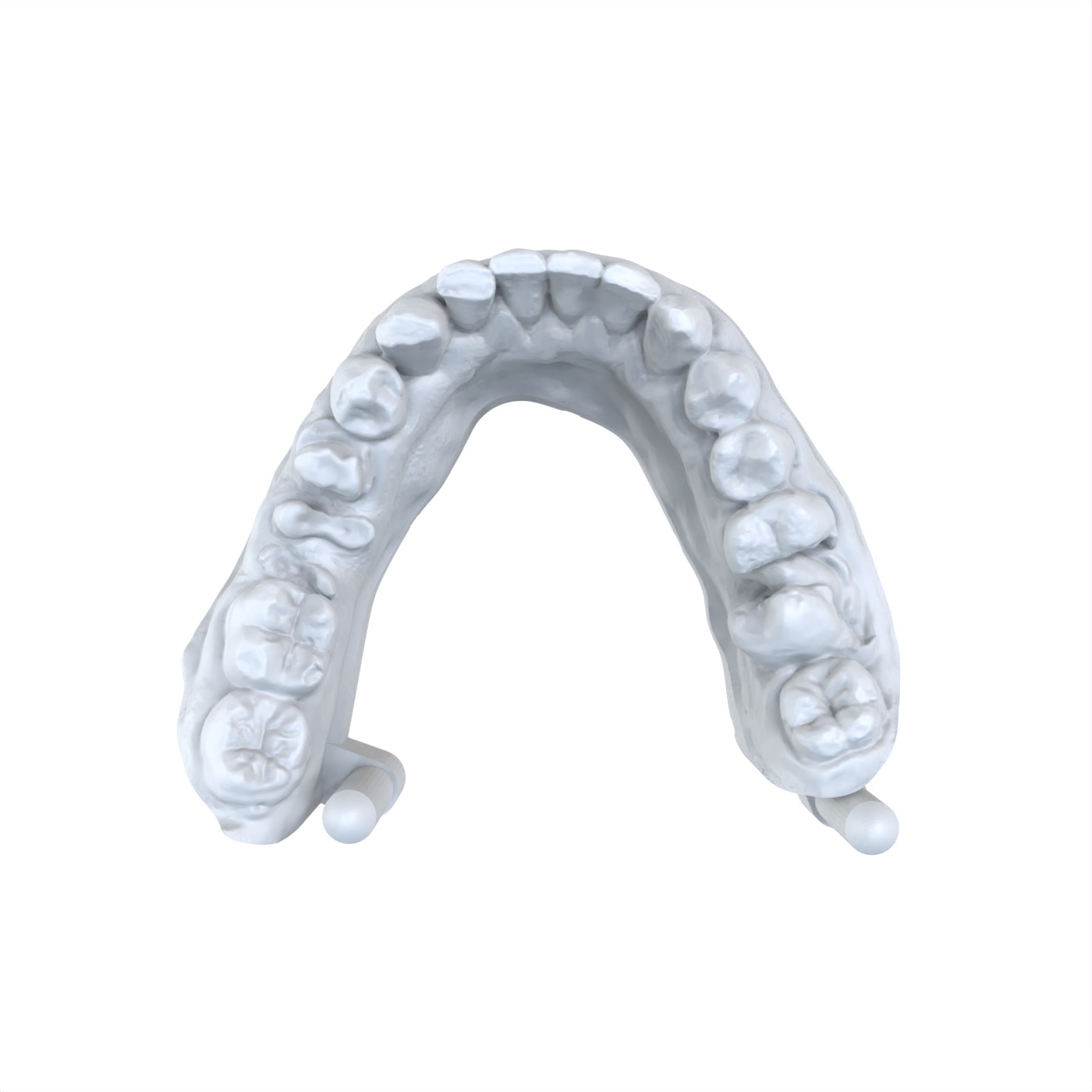 1 قطعة نموذج طب الأسنان المفضل - مراجعة 3D Printing Dental وسعره
