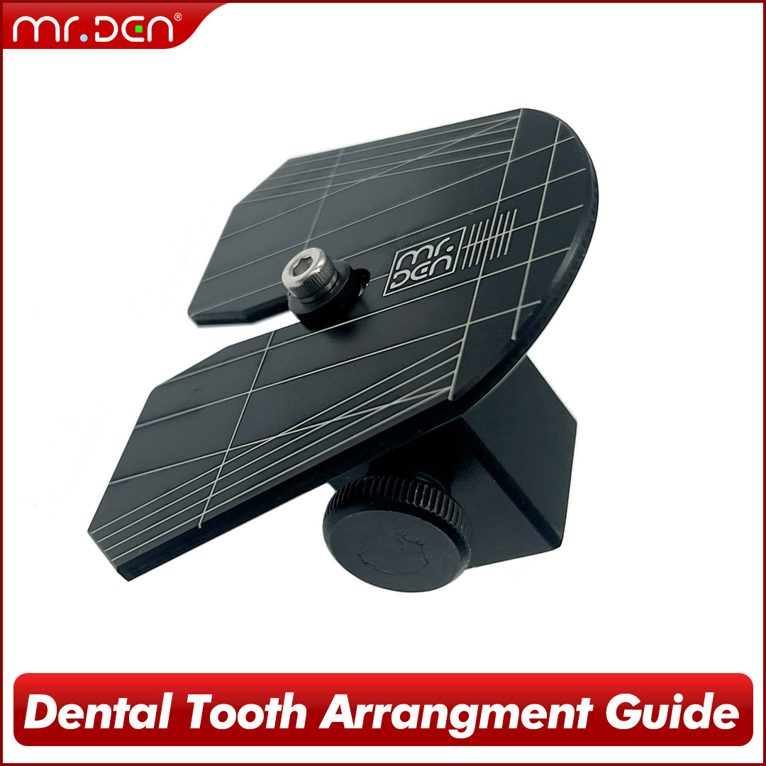 2026 MR DEN دليل ترتيب الأسنان - مراجعة 3D Printing Dental وسعره